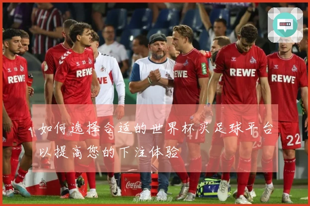 如何选择合适的世界杯买足球平台以提高您的下注体验
