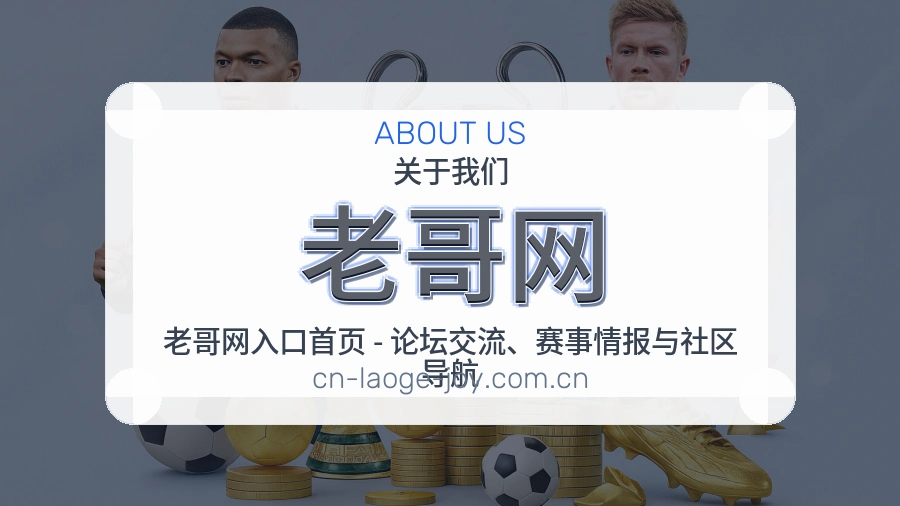 老哥网账号与回访服务